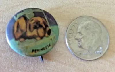 Vintage 1930's Pekingese Puppy Dog~Small~Tiny~Pinback Button ~3/4 ~Cute! • $4.50