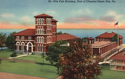 Erie PA Erie Fish Hatchery Chestnut Street 1953 Linen Vintage Postcard E5469 • $3