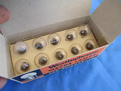 New  10 In Box Vintage Westinghouse Mazda Lamps Bulbs Cand Base 6-8 Volt  (1955) • $9.99