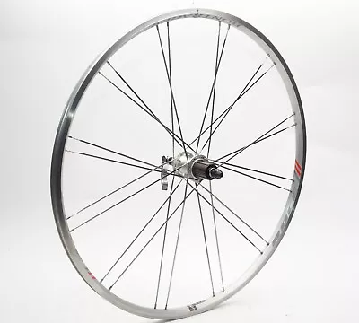 Bontrager Race 24 Paired-spoke Rear Wheel 8/9/10spd Silver • $56.75