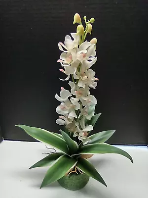 Artificial Real Touch Mokara Orchid Centerpiece  CREAM WITH A TOUCH OF PINK   • $22.50