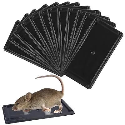 Mouse Glue Traps 12 Packs Glue Traps For Mice And Rats Indoor Sticky Traps • $13.99