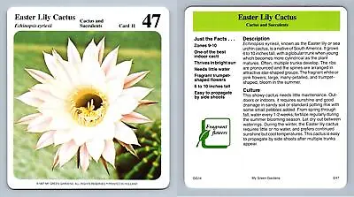 Easter Lily Cactus #11 Cactus - My Green Gardens 1987 Cardmark Card • £1.25