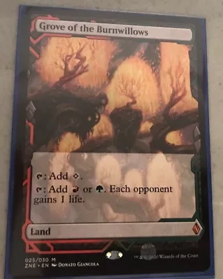 MTG Grove Of The Burnwillows Zendikar Rising Expeditions 025/030 Nm • $6.50