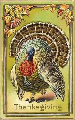 $5.79 • Buy Postcard Thanksgiving Colorful Turkey Embossed
