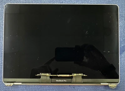 $29.95 • Buy APPLE LCD Screen Display Full Assembly MacBook Pro 13  M1 A2338 2020 EMC 3578