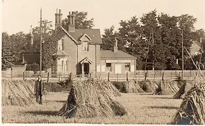 £14.50 • Buy Early B/W RP POSTCARD - Waddon Railway Station 1910, Croydon, Surrey