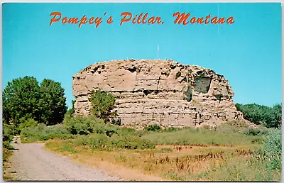 Pompeys Pillar Montana Lewis Clark Named After Sacajaweas Son Vintage Postcard • $3.86