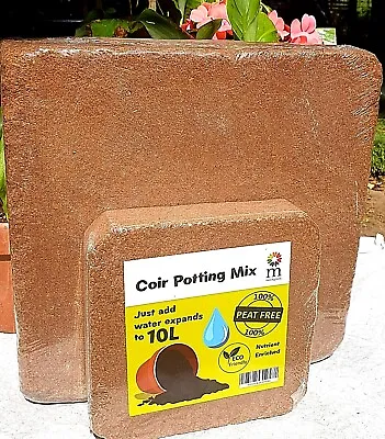 Coir Brick Block Coco Soil Compost  Hydroponics Hanging Baskets Pot 10L 60L 100L • £6.99