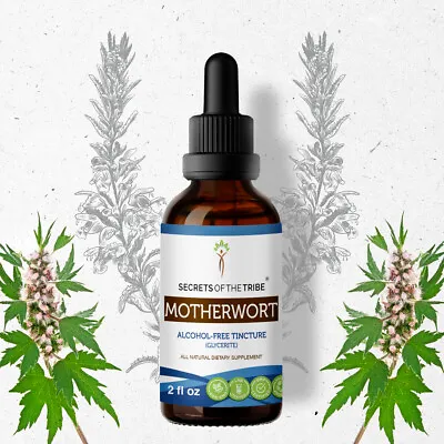 Secrets Of The Tribe Motherwort Tincture Alcohol-FREE • $21.97