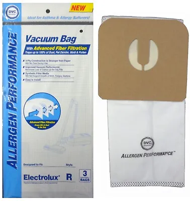 6 Electrolux Renaissance Canister Allergen Style R 3 Ply Filter Bags 9000 8000 • $7.99