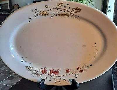 Vintage Royal Ironstone China Floral Diner Style Platter Alred Meakin England • $8.25