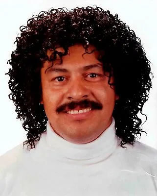Jheri Curl Black Wig 80s Hair Jerry Afro Fro Pimp Prince Michael Jackson Costume • $30.31