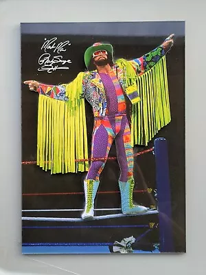 Wwf Ljn Hasbro 3-D Laser Sculpture Collector Series #1115 Of 5000 Randy Savage • $800