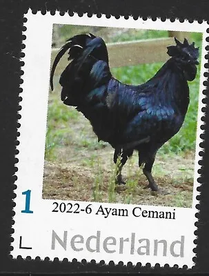 Netherlands 2022-6  Chicken :    Ayam Cemani         Mnh • £4.19