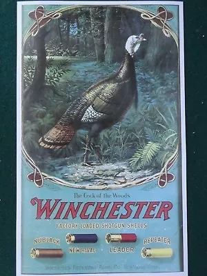 Winchester Advertising Poster Shotguns Turkey  Cock Of The Woods  • $7.50