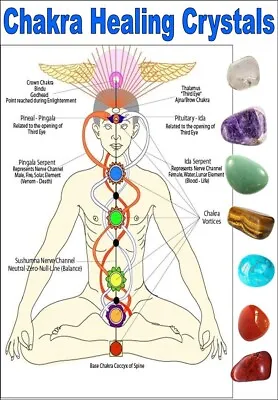 7 Lg Chakra Healing Crystals Set FREE Pouch FREE Chart Stone Healing EBays Best • £5.25