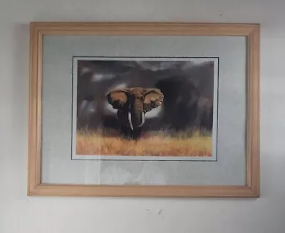 After David Shepherd Elephant Print FRAMED And Signed  • £60