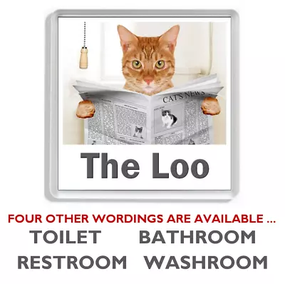 GINGER TABBY CAT READING A NEWSPAPER ON THE LOO Novelty Toilet Door Signs • £3.75