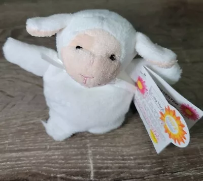 Cozy Hugs Baby Lamb  Aromatherapy Animal Hand Warmer • $29.88