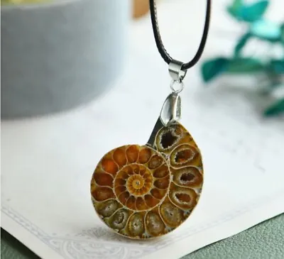 Ammonite Fossil Shell Pendant Necklace Unique Gift Fossil Mineral Stone Necklace • $11.99