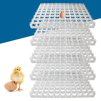 Eggs Incubating Tray Quail Duck Poultry Tray Eggs Hatching Storage Container • $29.45