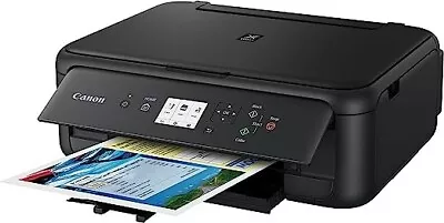 $88 • Buy Canon PIXMA TS5160 Wireless All-In-One Inkjet Printer Free Postage