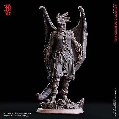 Draconian Fighter - Female - The Crimson Calamity - Flesh Of Gods - Wargaming D& • £28.35