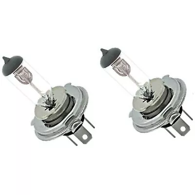 6 Volt Halogen Headlight Headlamp Clear Glass Light Lamp Bulbs 25/25W Pair H4 6V • $15.95