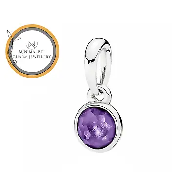 Droplet February Birthstone Charm Birthstone Charm Silver Charm Women Gift • $23.59