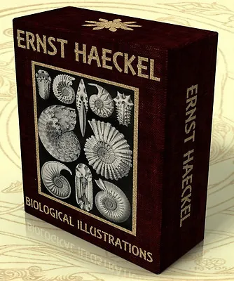 KUNSTFORMEN DER NATUR + Other Works Ernst Haeckel 307 Color Art Plates DVD-Rom • $8.70