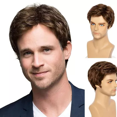 Handsome Mens Short Wig Male Synthetic Hair Cosplay Party Full Wigs • $13.76