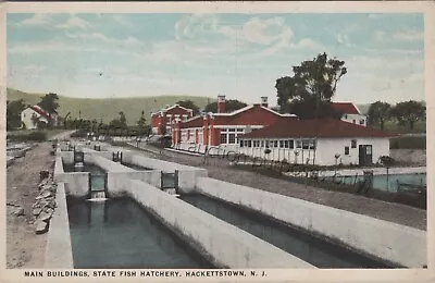 Hackettstown NJ: State Fish Hatchery - Vintage Warren Co New Jersey Postcard • $13.79