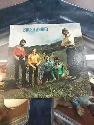 Brush Arbor 1973 Self Titled Vinyl LP • $6