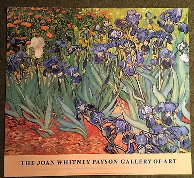 Large Vintage Van Gogh Irises Poster Metropolitan Museum Of Art 1986 • $79.99