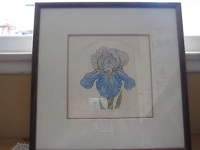 Limited Edition Hand Colored Etching Print Frame  Iris  By Martha Hinson Signed • $99.99