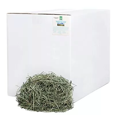 3rd Cutting Super Soft Timothy Hay Pet Food For Picky Eaters Rabbits Guinea... • $146.22