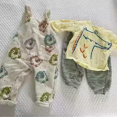 Zara Baby Lot 1-3mo • Hedgehog Overalls • Gator Shirt • $15