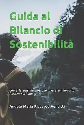 Guida Al Bilancio Di Sostenibilit: Come Le Aziende Possono Avere Un Impatto Posi • $16.70