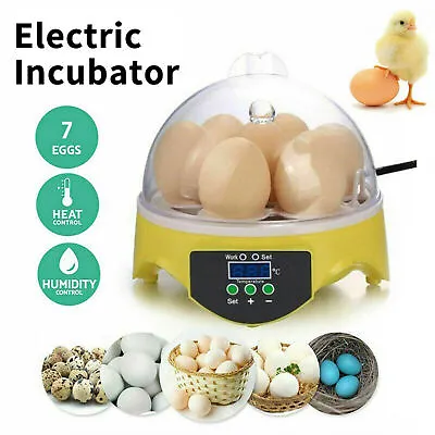 Auto Egg Incubator 7 Egg Poultry Chicken Duck Mini Hatcher Bird Quail Brooder UK • £24.59