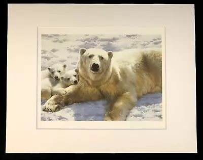 Carl Brenders  Mother Of Pearls  11 X 14 Matted Polar Bear Wildlife Print • $25.99