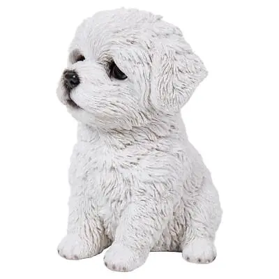 Maltese Puppy • $27.61