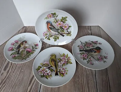 Vintage Kaiser W Germany Porcelain Bird Plates Decorative Set Of 4 • $23.78