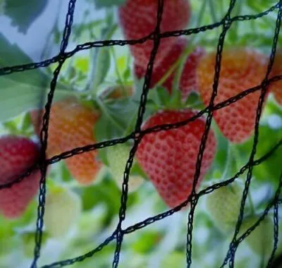 12mm Fine Mesh Strong Pond & Fruit Cage Netting Anti Bird Plants Black Vegetable • £17.99