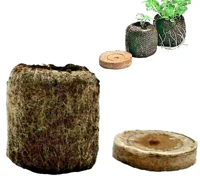 £0.99 • Buy 50 100 500 JIFFY 7 41MM Peat Compost Plug Seed Starter Grow Pellets Hydroponics 