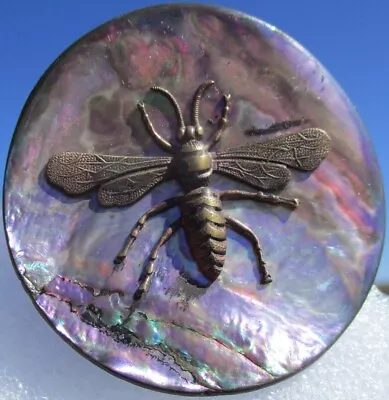 Vintage Antique French  WASP BEE INSECT  BRASS-MOP TINTED SHELL LARGE BUTTON • $49