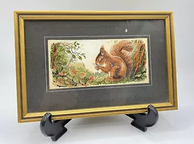 Jacquard Loom Red Squirrel Vintage Hand Embroidered Picture J And J Cash Rare • £79.97