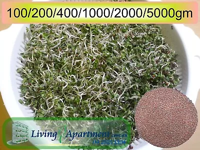 Broccoli Sprout Seeds Organic Certified (Sprouts  Sprouting Seeds) 0.1-5kg • $22.67