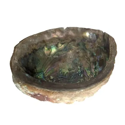 Vintage Red Abalone Shell Large Haliotis Rufescens Seashell Smudging Bowl • £28.94