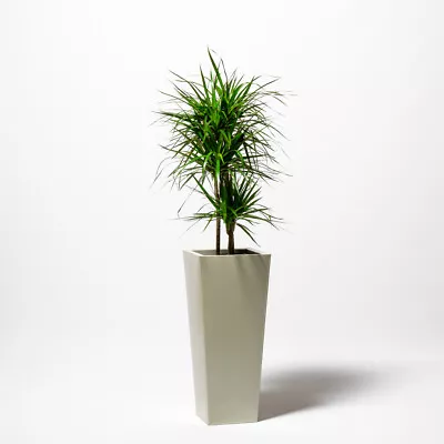 90cm Flared Square Metal Planters Zinc Galvanised Ivory White Black • £147.98